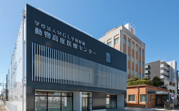 高崎動物専門学校　動物高度医療センターの画像